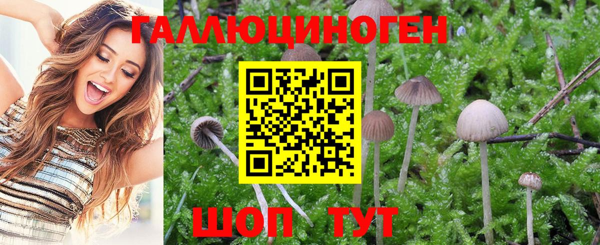 Псилоцибиновые грибы Magic Shrooms  Псилоцибиновые грибы GOLDEN TEACHER  Барабинск  Вход с VPN 